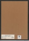Triceratium columbi Witt. (de-Toni-Nr.: Genus 140, Species 3999) Zeichnungen Sammlung Grunow Mappe 03993 (Herbarium_W_Grunow_drawings_Folder_03993)